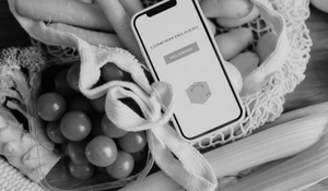 How to Move Your Brick and Mortar Retail Store Online